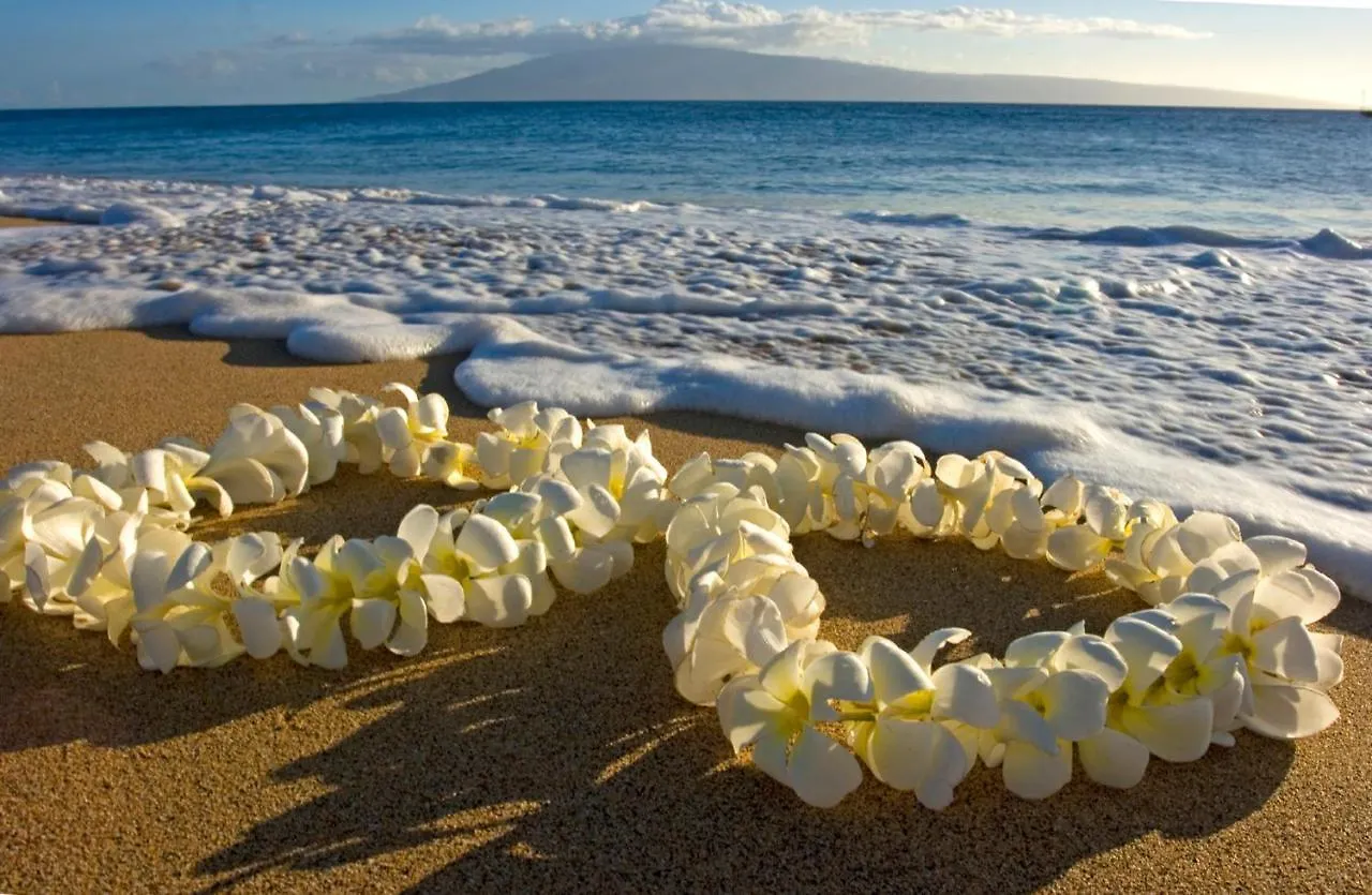 Lanikai Suite Luxury Ocean View With Free Parking Honolulu
